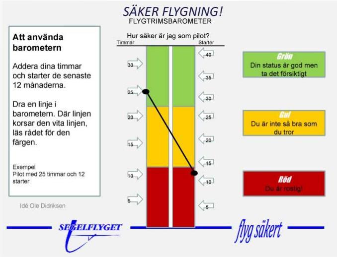 En bild